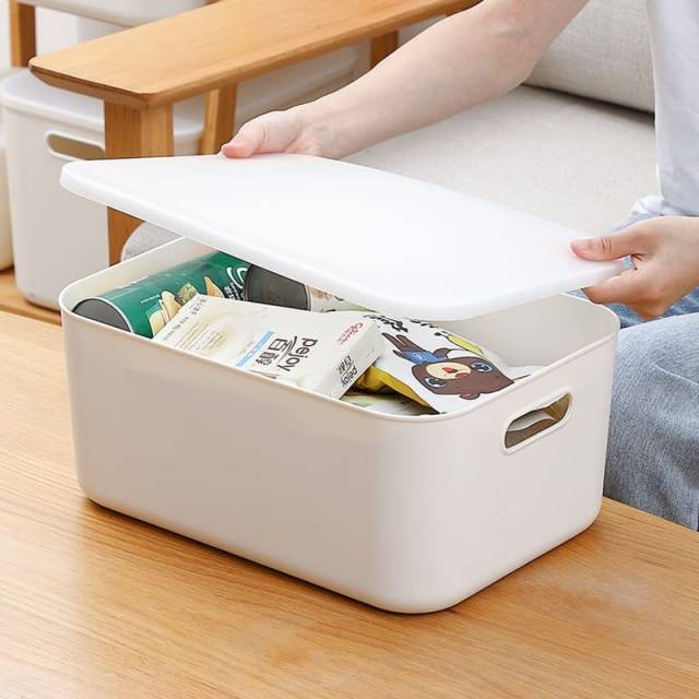 Caja de Plastico con Tapa 26x18x16cm 8L